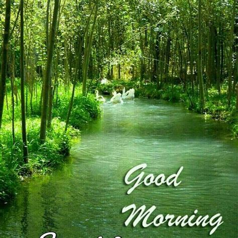 Midsayap, Philippines 2022: Best Places to Visit - Tripadvisor