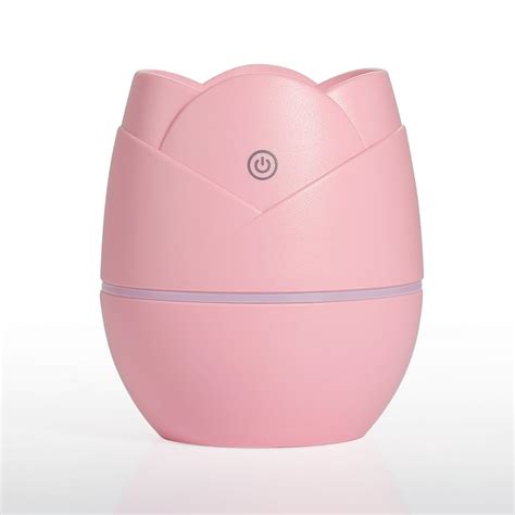 Image result for DLC Mini Humidifier