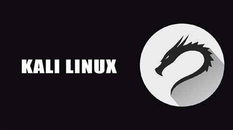 Kali Linux File Download 的图像结果