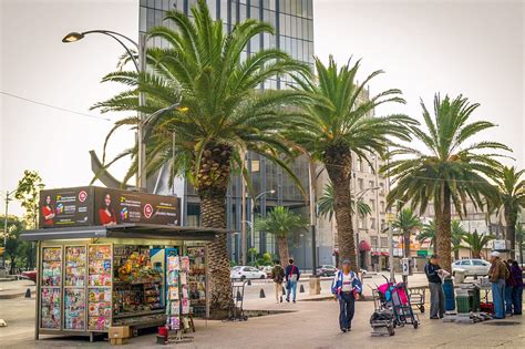 10 Most Popular Streets in Mexico City - Take a Walk Down Mexico City's ...