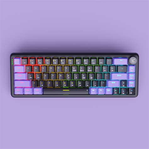 Hive65 Black Purple Wired Mechanical Gaming Keyboard – Kreo