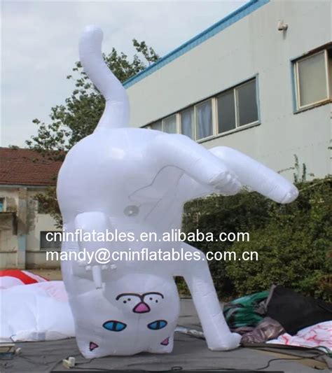 Image result for Popping Inflatable Fox