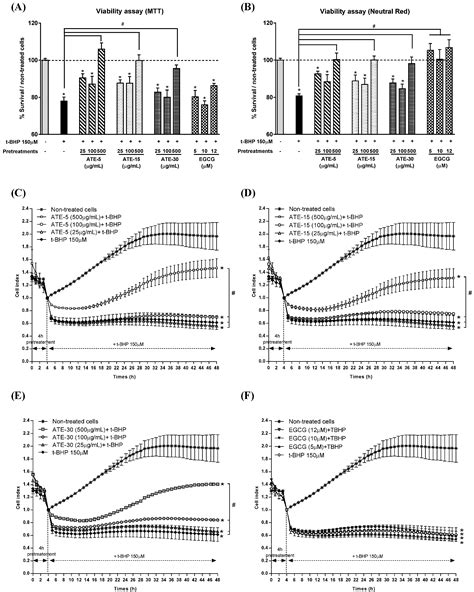 Effect of Brewing Duration on the Antioxidant and Hepatoprotective ...