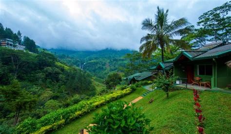 RAMBODA FALLS HOTEL - Hotel Reviews, Photos, Rate Comparison - Tripadvisor