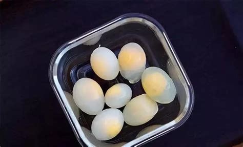 鸽子蛋这么贵，真的比鸡蛋、鹌鹑蛋等营养价值高吗？ - 知乎