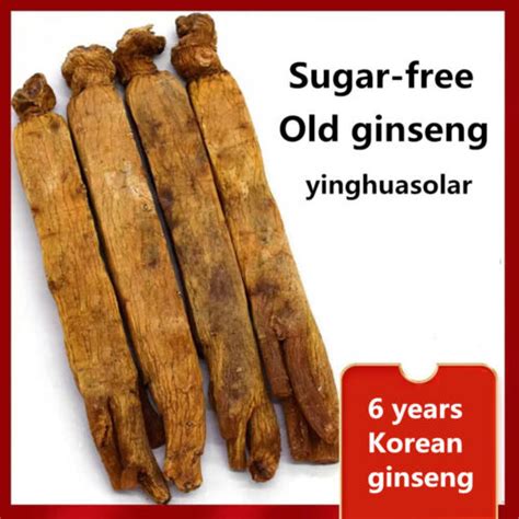 Buy Panax Korean Red Ginseng Roots Sex Herb Extract 6 years old No ...