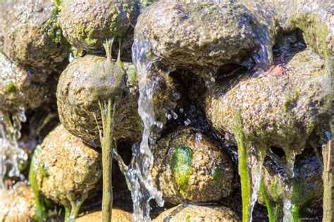 Image result for Running Over Slime