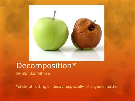 Image result for decomposition.
