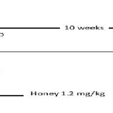 Image result for Long-Term Memory Study