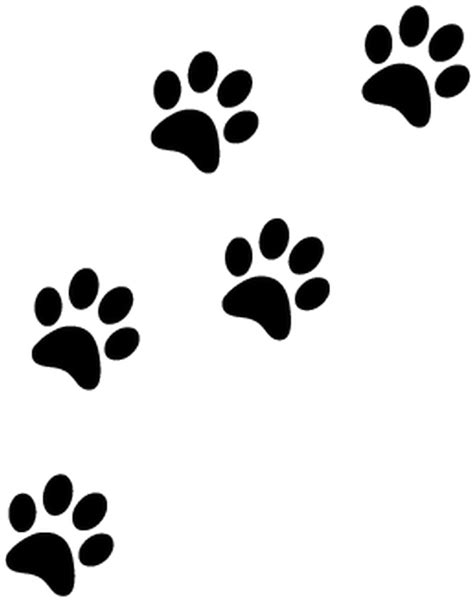 Download HD Cat Paw Prints - Paw Prints Transparent Background ...