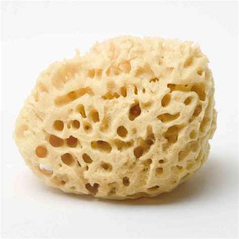 5 Types of Cleaning Sponges and Where They Work Best