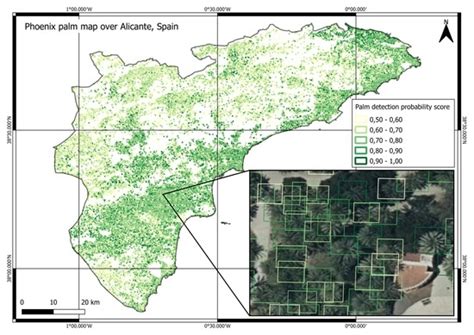 Individual Palm Tree Detection Using Deep Learning on RGB Imagery to ...