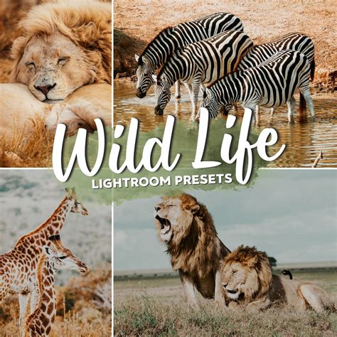 34+ Lightroom Wildlife Presets Pack