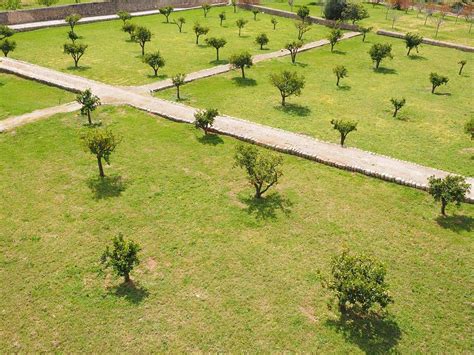 Protect Earth 的图像结果