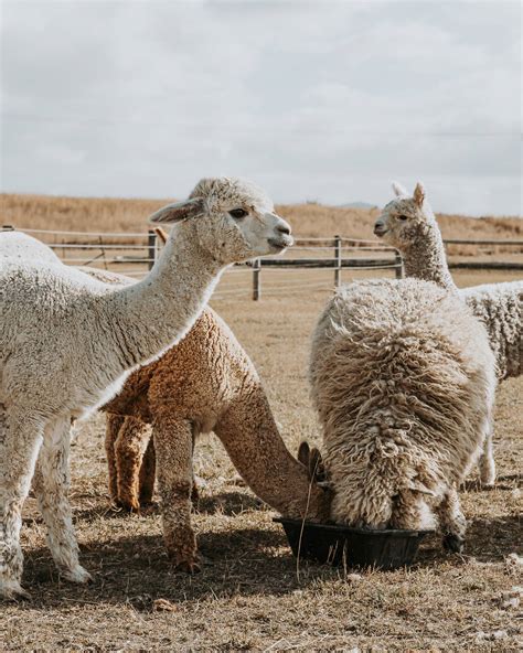 Camping Near Hobart, TAS, AU: 20 Best Campgrounds 2026 | Hipcamp