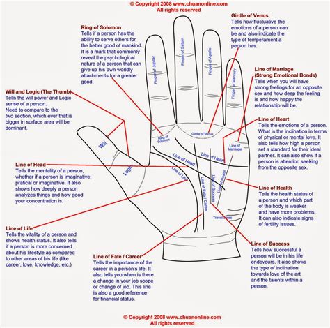 Read your own palm lines |Palmistry Fate