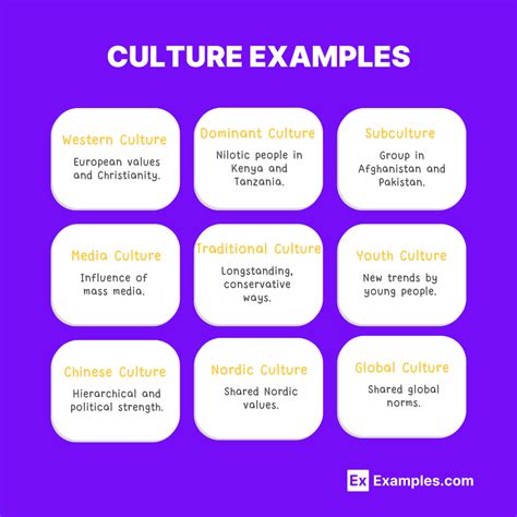 100+ Culture Examples Examples