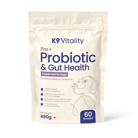 7 Common Reasons of Loose Motion in Dogs – K9 Vitality