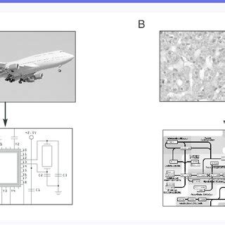 Image result for Very Complex