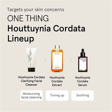 One Thing Houttuynia Cordata Extract – Limese India