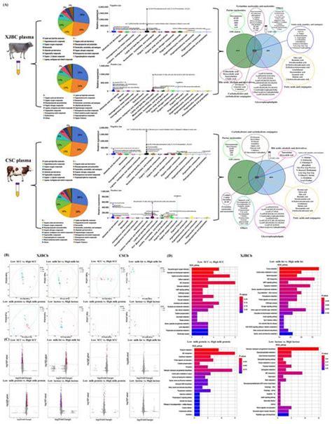Transcriptomic and Metabolomics Joint Analyses Reveal the Influence of ...