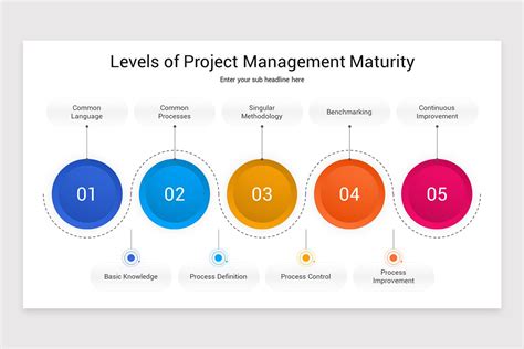 Image result for Project Management Maturity Road Map