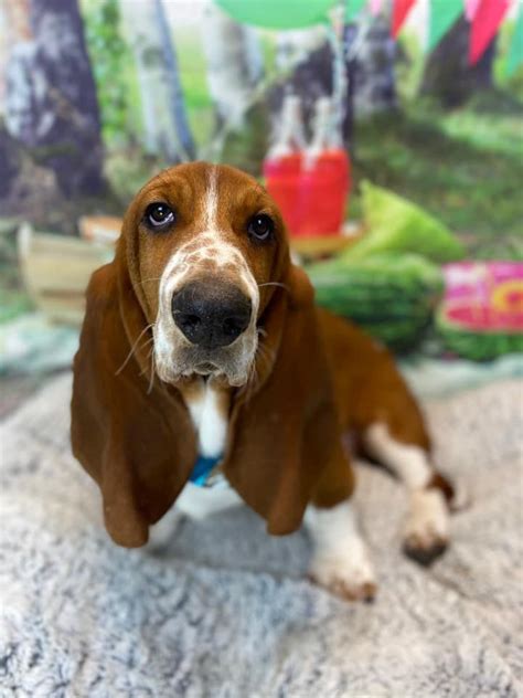 Walk in nail trimming clinic , 208 DP Rd suite B, Los Alamos, NM, 22 ...