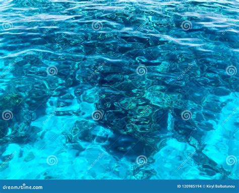 Sea Texture Transparency Background 的图像结果