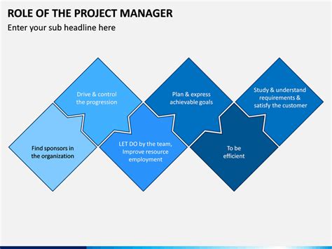 Image result for Advisory Role Project Manager