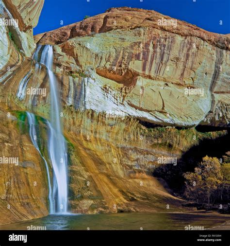 lower calf creek falls in autumn near escalante, utah Stock Photo - Alamy