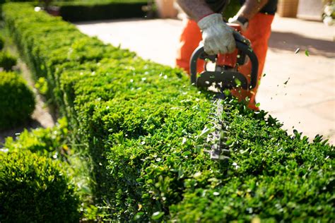 Image result for Landscape Maintenance Tips