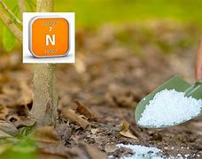 nitrogen fertilizer 的图像结果