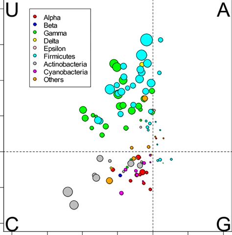 Image result for Codon Bias