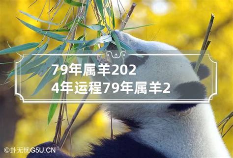 79年属羊2024年运程 79年属羊2024年运势及运程每月运程_卦无忧