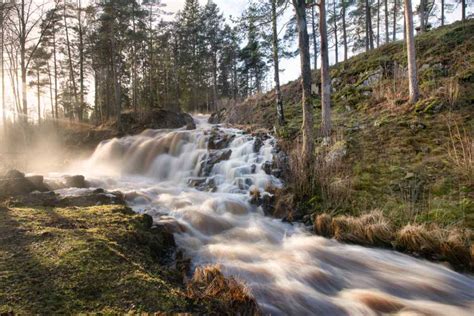 Image result for Swedish Spring