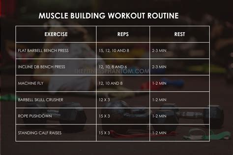 Image result for Muscle Building Weekly Workout Plan