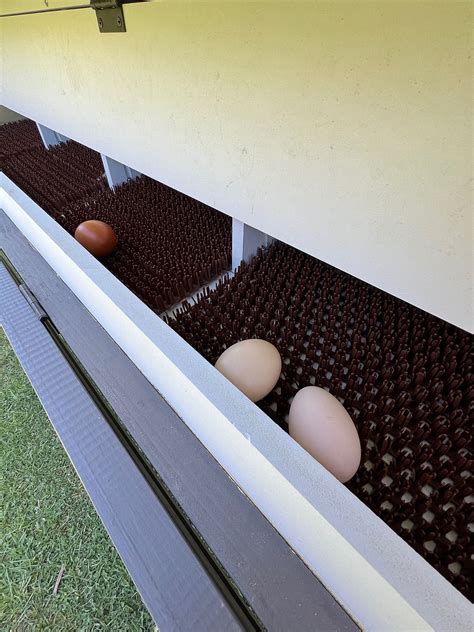 Building External Nesting Boxes 的图像结果