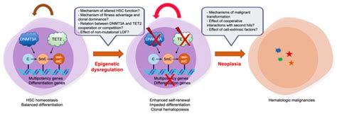 IJMS | Special Issue : Molecular Mechanism of Leukemia