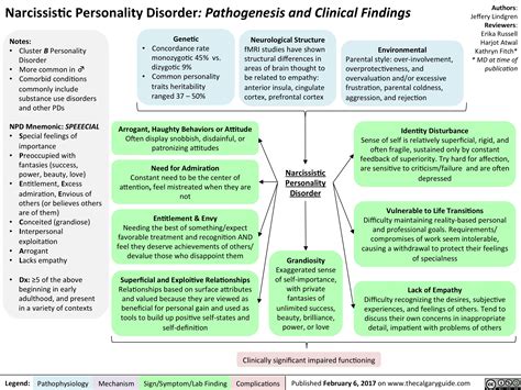 Narcissistic Personality Disorder: Pathogenesis and Clinical Findings ...