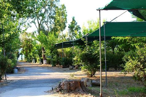 CAMPING PEFKI - Campground Reviews, Photos, Rate Comparison - Tripadvisor