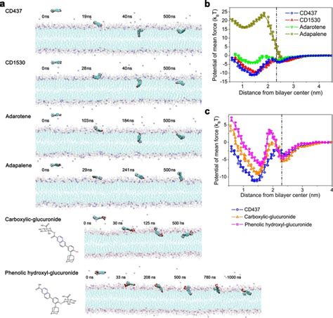 Image result for All-Atom Molecular Dynamic