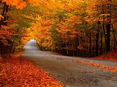Fall Backgrounds 2019 by 50 Hd Fall Wallpapers For Desktop 2019 Www Movierulz Fall Backgrounds 2019