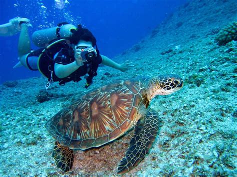Scuba Diving in Sri Lanka 2026 - 13 Most Popular Places To Visit
