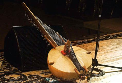 Image result for Unusual String Instruments