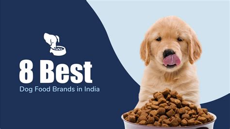 8 Best Dog Food Brands in India | Zigly