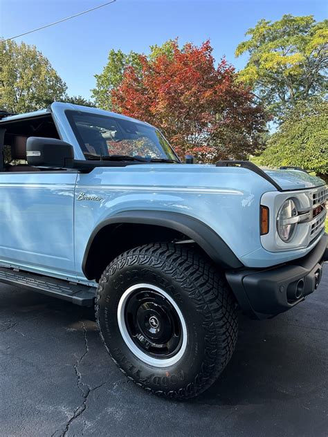 Meet Sassy! It was love at first sight - and she was mine 24 hours ...