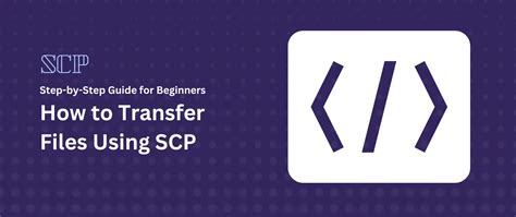 Transfer File Using SCP to Host 的图像结果