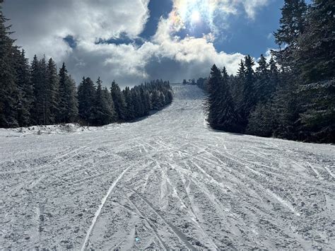 BOROVETS HILLS SPA & RESORT - Hotel Reviews, Photos, Rate Comparison ...