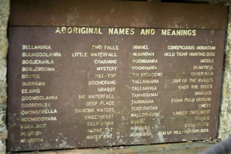 Unveiling the Enchanting World of Indigenous Australian Animal Names: A Journey into Dreamtime