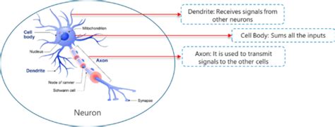 Python AI Programming 的图像结果